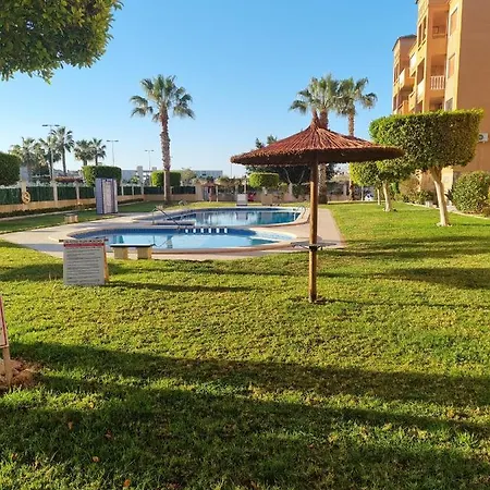 Pau 8 Villamartin Violetas Alicante